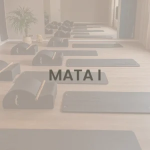 Szkolenie mata